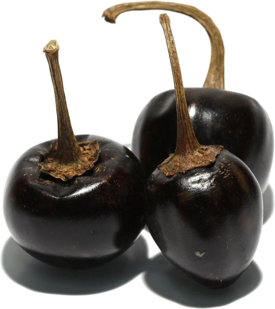 CHILE CASCABEL 100g – Image 2